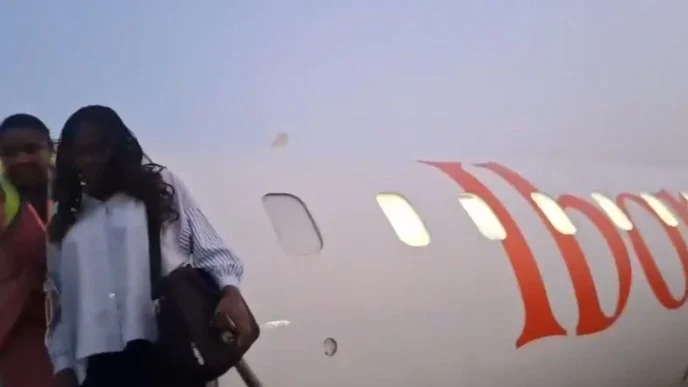 Chiamaka Ubani, the Ibom Air passenger who disrupted a flight